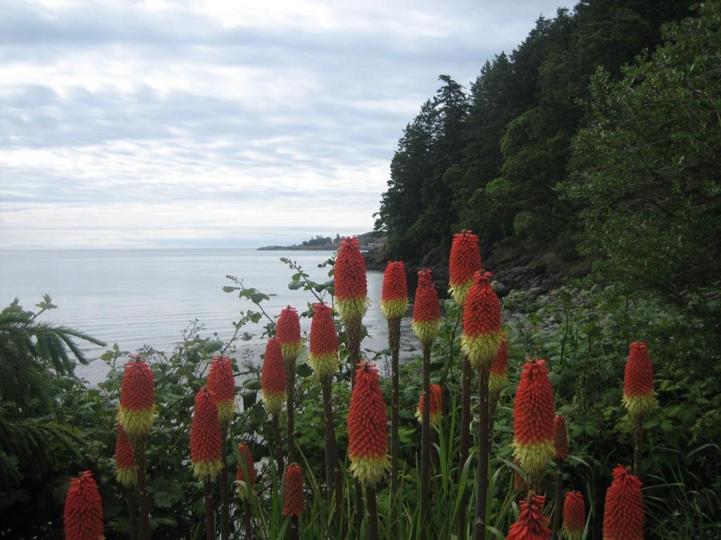 The Lodge At Weir'S Beach Metchosin Exteriér fotografie